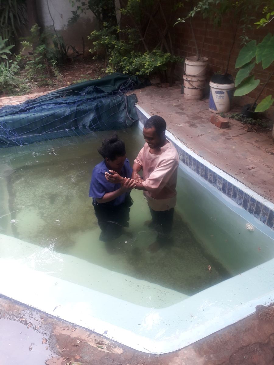 A believer in a blue shirt is baptized by a brother in a pink shirt in a garden pool at our church of Christ in Laudium