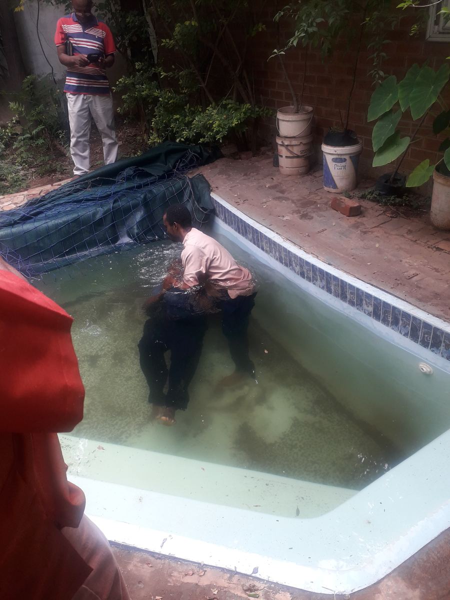 A brother in a pink shirt lowers a believer into the water, a baptism after Bible study in Pretoria