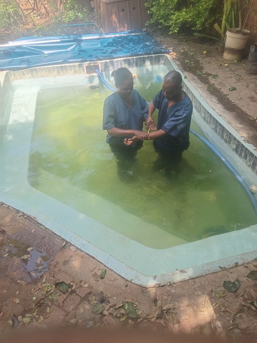 Two brothers in blue shirts hold hands in a garden pool before a baptism, part of Bible study in Pretoria life
